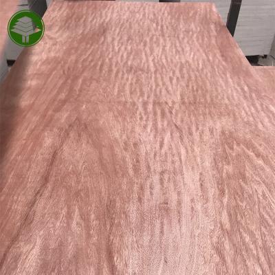 China Traditional linyi Plywood Manufacturer 18mm 1 Time Hot Press E1 Glue Bintangor Veneer Poplar Core Plywood for sale