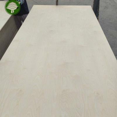 China Traditional Hot Sales 18MM E0 Glue Birch Plywood Poplar Core 2 times hot press Commercial Plywood for sale