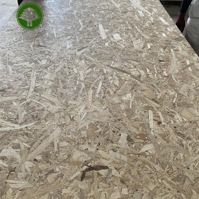 China Tropical 11mm Poplar material E0 glue OSB board Oriented Strand Board for sale