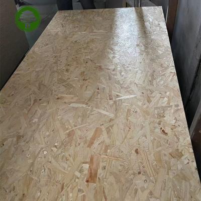 China Tropical high quality building wood15mm pine material OSB board  Oriented Strand Board for sale