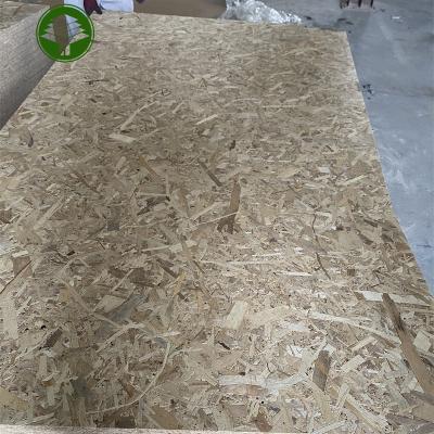 China Tropical Oriented Strand Board Melamine glue Poplar material OSB board for sale