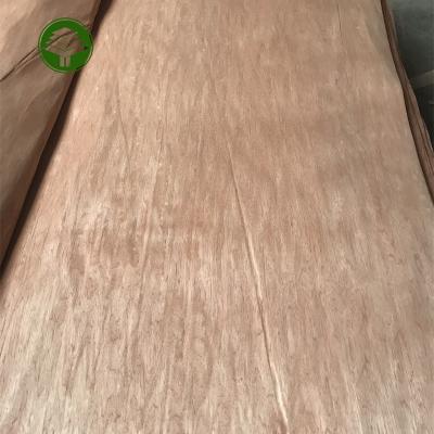 China Industrial Gabon 0.25mm bintangor veneer rotary cut wood face bintangor veneer for plywood for sale