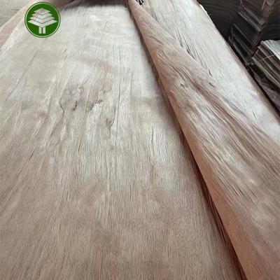 China Industrial Gabon 0.25mm PLB veneer rotary cut wood face PLB veneer for plywood for sale