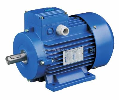 China Three-phase IP55 electric motor for sale