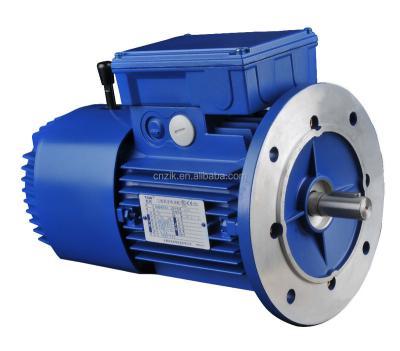 China Three-phase DC brake motor IP55 for sale