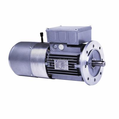 China Waterproof Motor 380V DC Brake Three Phase Asynchronous Motor for sale