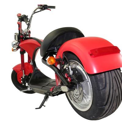 China New Design Hot Sale Long Range Fast Adult 60v 1500w Electric Motorcycle For Men For Women 1900*370*960mm for sale