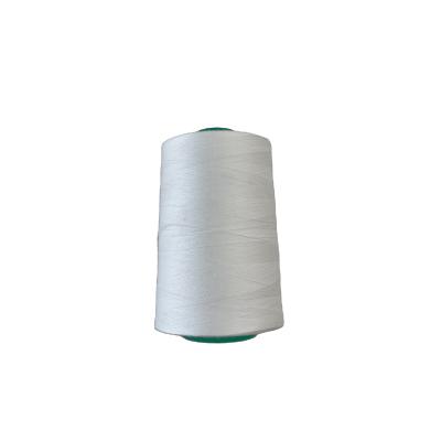 China Low Shrinkage Large Size Sewing Thread for Sewing Machines for sale