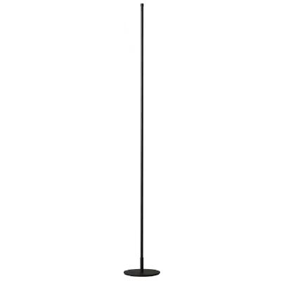 China Modern Residential Corner Floor Lamp Remote Control Dimming Atmosphere Floor Lamp for sale