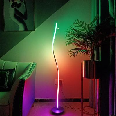 China Modern Minimalist RGB Color Symphony Floor Light Curved Luxury Living Room Position Lamp Floor Lamp for sale