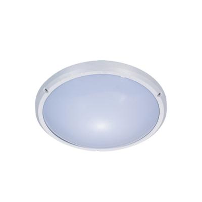 China Waterproof Outdoor Mounted Ceiling Lamp Fixtures Outdoor Mounted Round IP54 Led Indoor Ceiling Light for sale