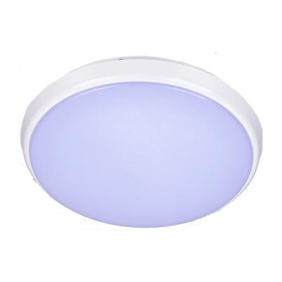 China Outdoor LED Bathroom LED Ceiling Light, 24W 18W 12W Waterproof IP54, Modern Flush Ceiling Light (PS-CL81L) for sale