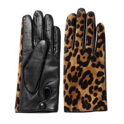 China YY5388 Novelty Winter Fashion Women Leopard Print Cowhide Leather Genuine Leather Gloves for sale