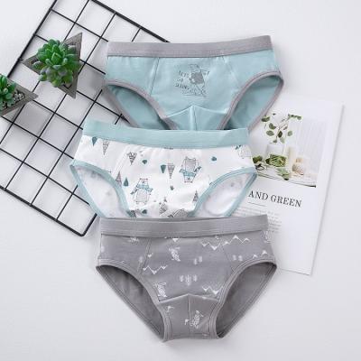 China Antibacterial Cloth Bulk Cotton Boy's Clothing Stores Shopping Wearing Shorts Panties With China Best Picture for sale