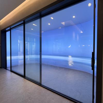 China Latest Windproof Design Black High Strengthen Narrow Heavy Sliding Door (LS24) for sale