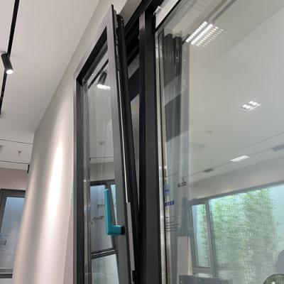 China Magnetic Screen Customized 60series Turn-Tilt And Bottom Hung Window for sale