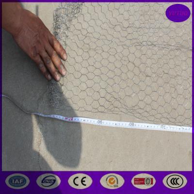 China 25mm ,50mm  Stainless steel Chicken wire netting , Rabbit Cage Hexagonal Wire Mesh for sale