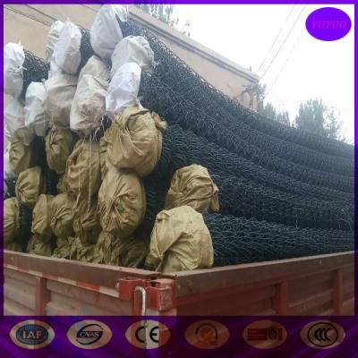 China Plastic/ vinyl coated chain link fence China for sale