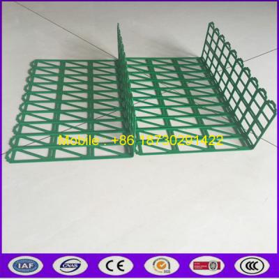 China Plastic Veg/Fruit Fence for sale