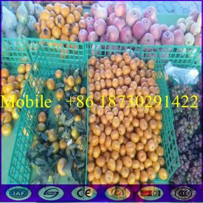 China Large Stock of China Store Fruit Stall Shelf Fence with Good Price for sale