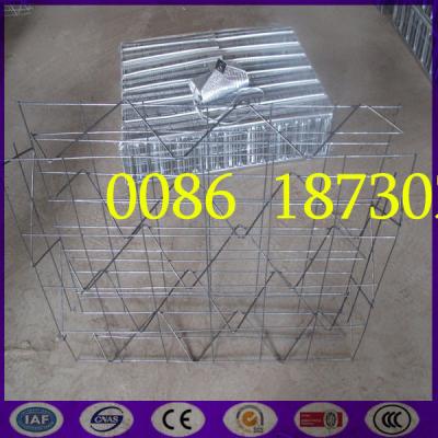 China China Best  New type  3D Welded Mesh Panel with Expanded Rib Lath for sale