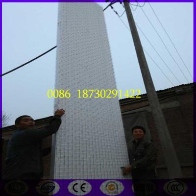 China 6 mtr length 3D EPS Steel Mesh Wall Panel for sale