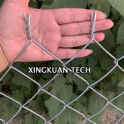 China 6 ft High Galvanized Wire Mesh Rolls for Fence 30mm 50mm 60mm Aperture for sale