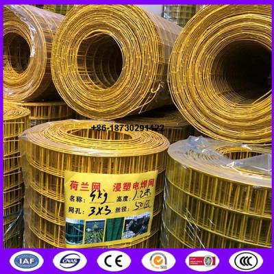 China Yellow color PVC coating Holland wire mesh fence 30mmx30 mm Hole opening ​ in 1.2 meter height for sale