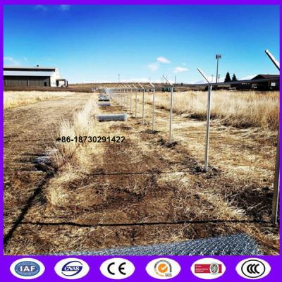 China Low cost silver color iron chain link mesh for encircling wasteland with high recycling value and easy installing for sale