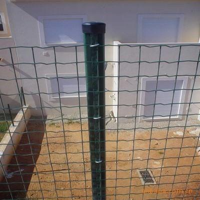 China European Favorite Low Cost Highly Durable Euro Fence for sale