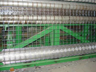 China Holland Wire Mesh in Low Carbon Steel Wire PVC Coated for sale