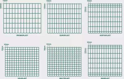 China Holland Welded Wire Mesh for Factory Fencing for sale