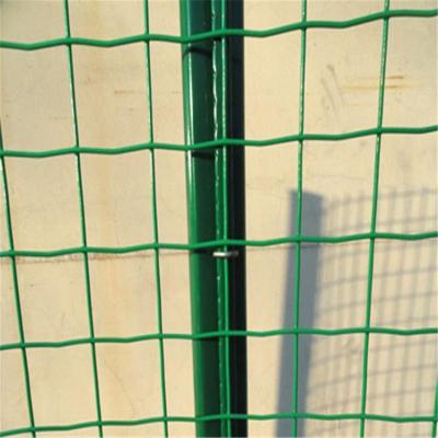 China Garden Holland PVC Coated Fence Wire Mesh for sale