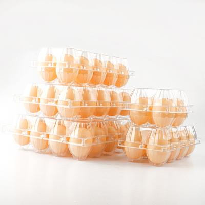 China Disposable Egg Tray Two 12 Grid Disposable Egg Tray Type Plastic Mold 2*6 4*3 Holes Egg Tray Design Hot Egg Trays for sale