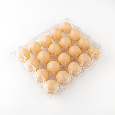 China Factory Wholesale Disposable Egg Packing Tray For Transport Plastic Egg Tray Mold PET Egg Tray for sale