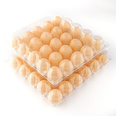 China Disposable Disposable Egg Tray For 30 Holes Pet Plastic Egg Container Refrigerator Egg Tray for sale