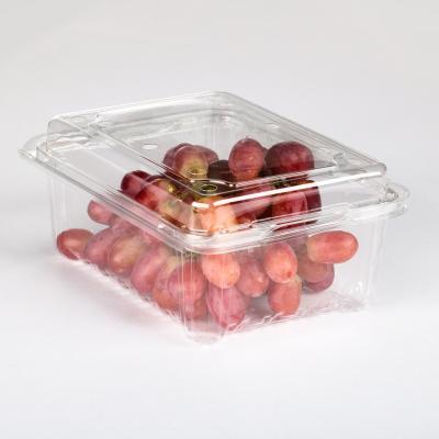 China Disposable Plastic Food Package Box Plastic Containers For Fruit Food Box Packaging Takeout Plastic for sale