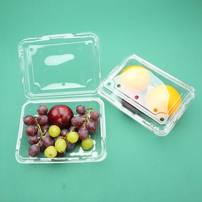 China Factory Food Plastic Containers Small Disposable Food Boxes 500g Plastic Fruit Box PET Material for sale