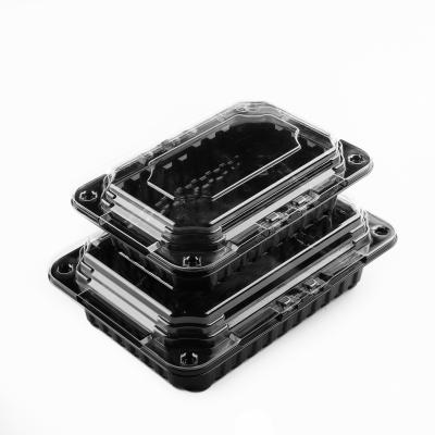 China Disposable disposable plastic food container with lid plastic food containers food fruit box for sale