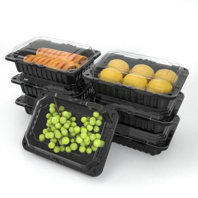 China Disposable Plastic Plastic Material Box Container Food Container Food Tray Eco-friendly With Lid for sale