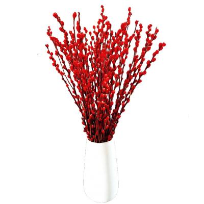 China Beautiful Real Willow Natural Preserved Dried Flower Natural Silver Red Fresh Flower Festival Decoration for sale