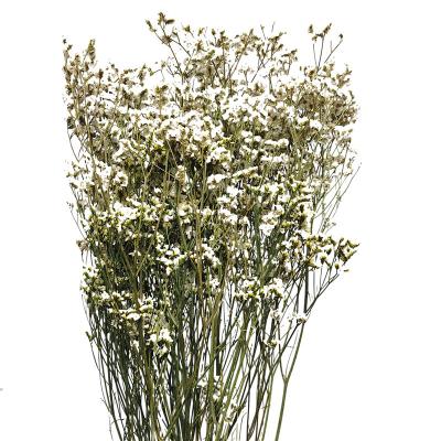 China Yunnan Crystal Grass Dried Flower Bouquet Natural Hot Selling Natural Preserved Home Decor Home Decor Plants for sale