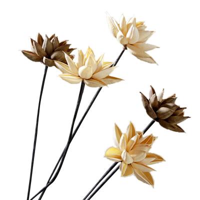 China New Home Decor Lotus Flower Dried Flowers Multi Color Durable Dry Handmade Material PhotoProps for sale