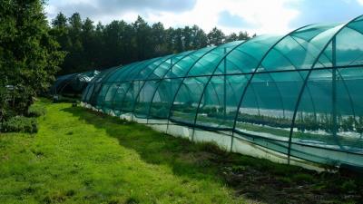 China Customizable Weather Resistant HDPE Shade Cloth Net For Agricultural Sun Protection for sale