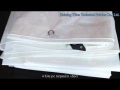 Heavy Duty Pvc Transparent Tarpaulin With Grommets Tear Resistant Canopy Cover Tarp Outdoor
