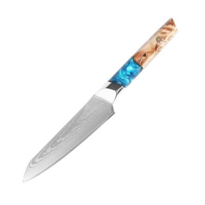 China 8 Inch New Arrival Resin Sustainable Handle Knife Professional Japanese Damascus Steel Kitchen Chef Knife for sale