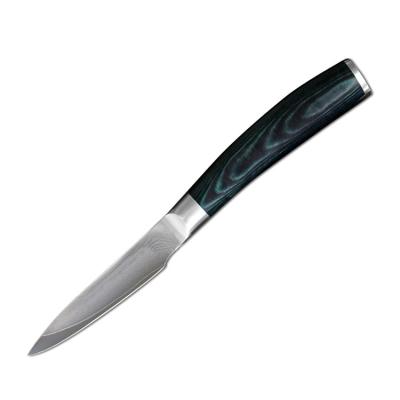 China Professional Private Label OEM Viable 67 Layers Paring Knife Kitchen Damascus AUS 8 AUS 10 On Sale for sale