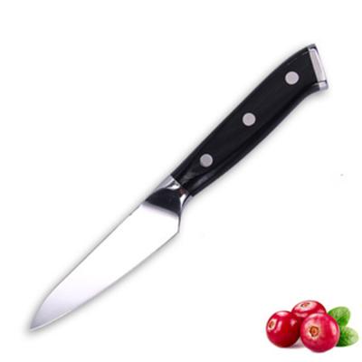 China Gift Viable Okapi Stainless Steel Handmade Serving Paring Knife for sale