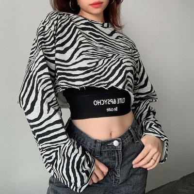 China Hip Viable Style Hip Fashion White Crop Tee Sexy Loose Printed Plain Crop Top T-Shirts For Women Simple Cropped Long Sleeve for sale