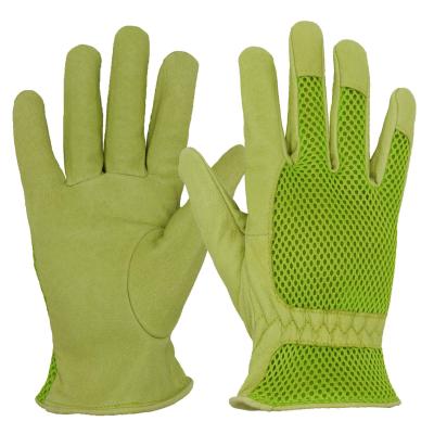 China Puncture Resistant 3D Mesh Comfort Fit Pigskin Leather Gardening Gloves For Women for sale